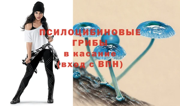 спайс Алзамай