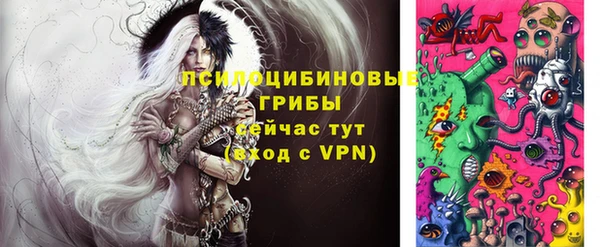 спайс Алзамай