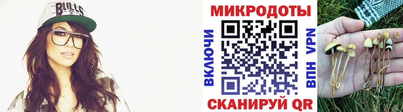Галлюциногенные грибы прущие грибы  наркотики  Алексеевка 